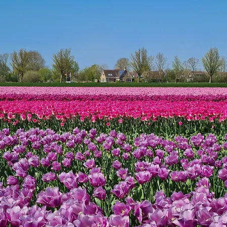 3a Op Recreatiepark De Wielen Apartamento